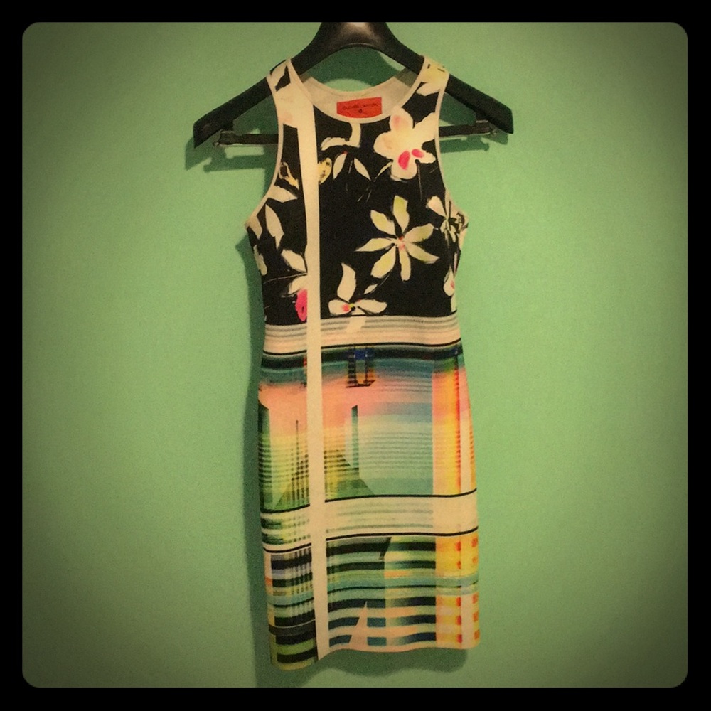 Neoprene Dress Clover Canyon Small